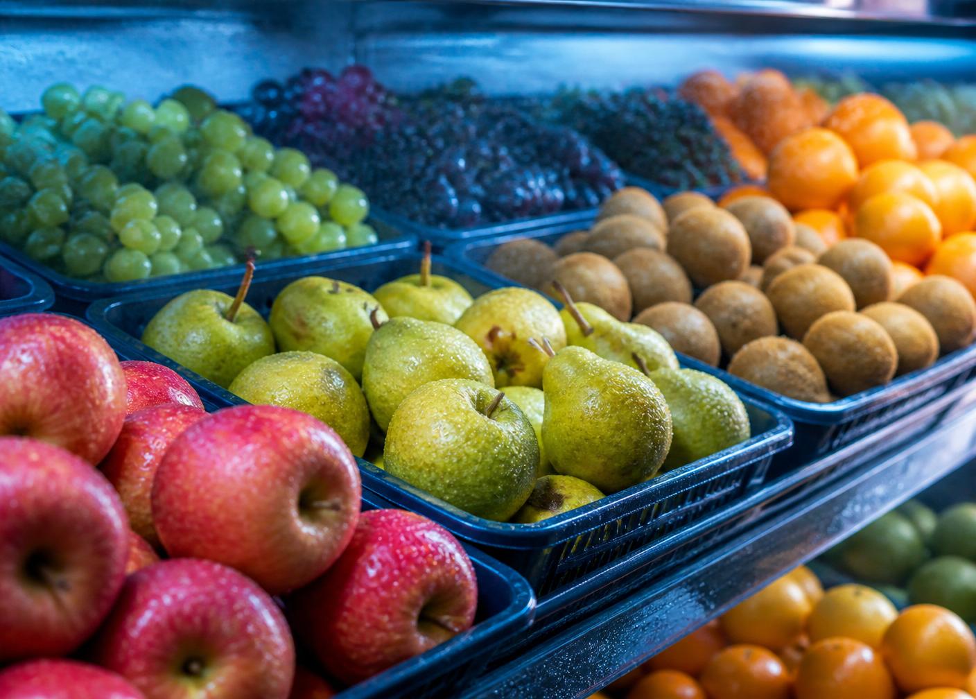 Frutas perecibles en contenedor refrigerado